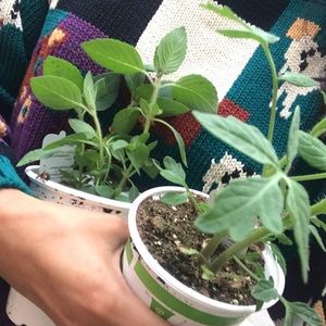 Meet your Posher, Daisy